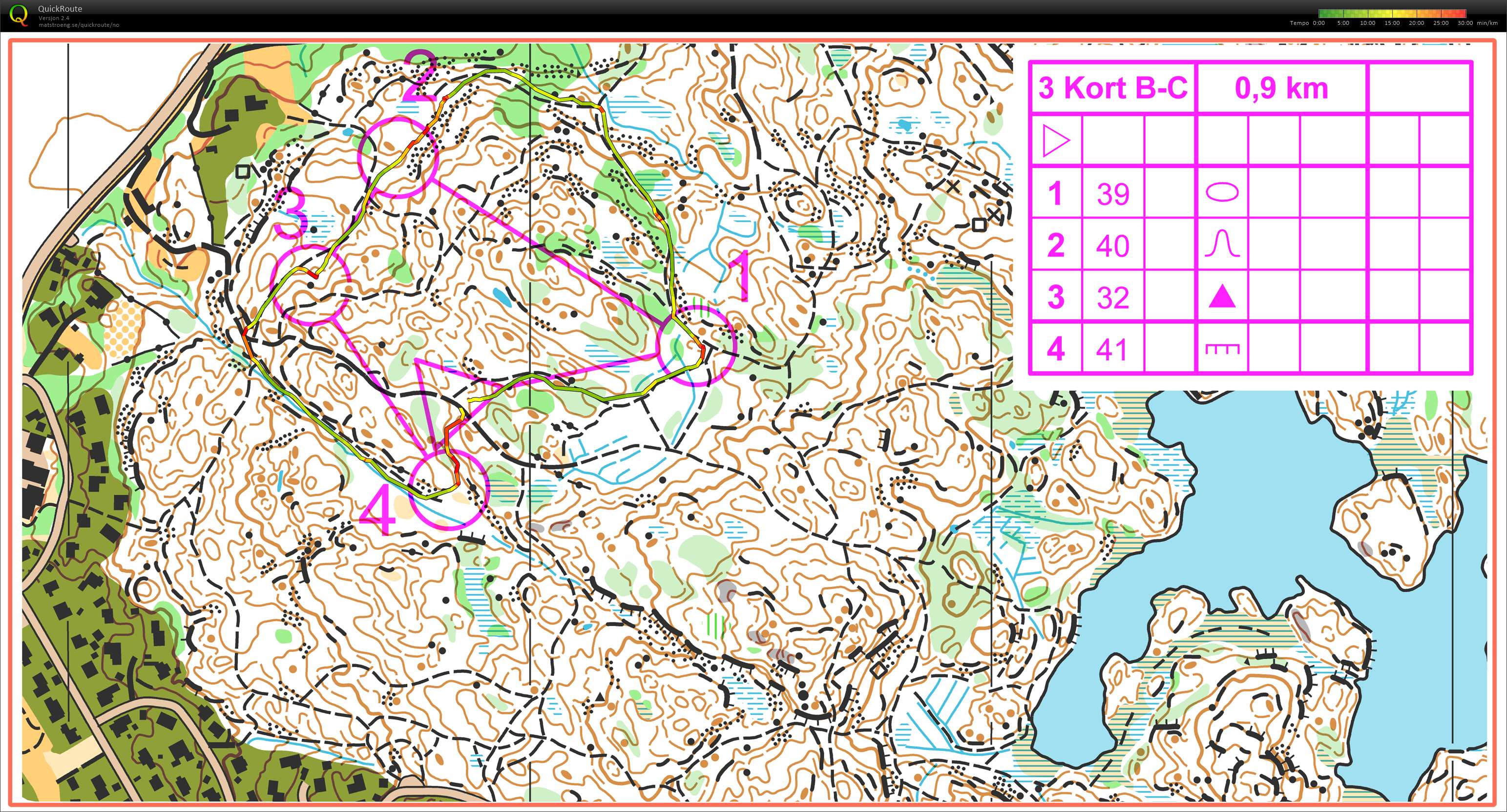 ROK Trees Nattsløyfer L3  (05.01.2018)