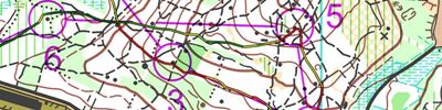 ROK Trees O-Intervall L1