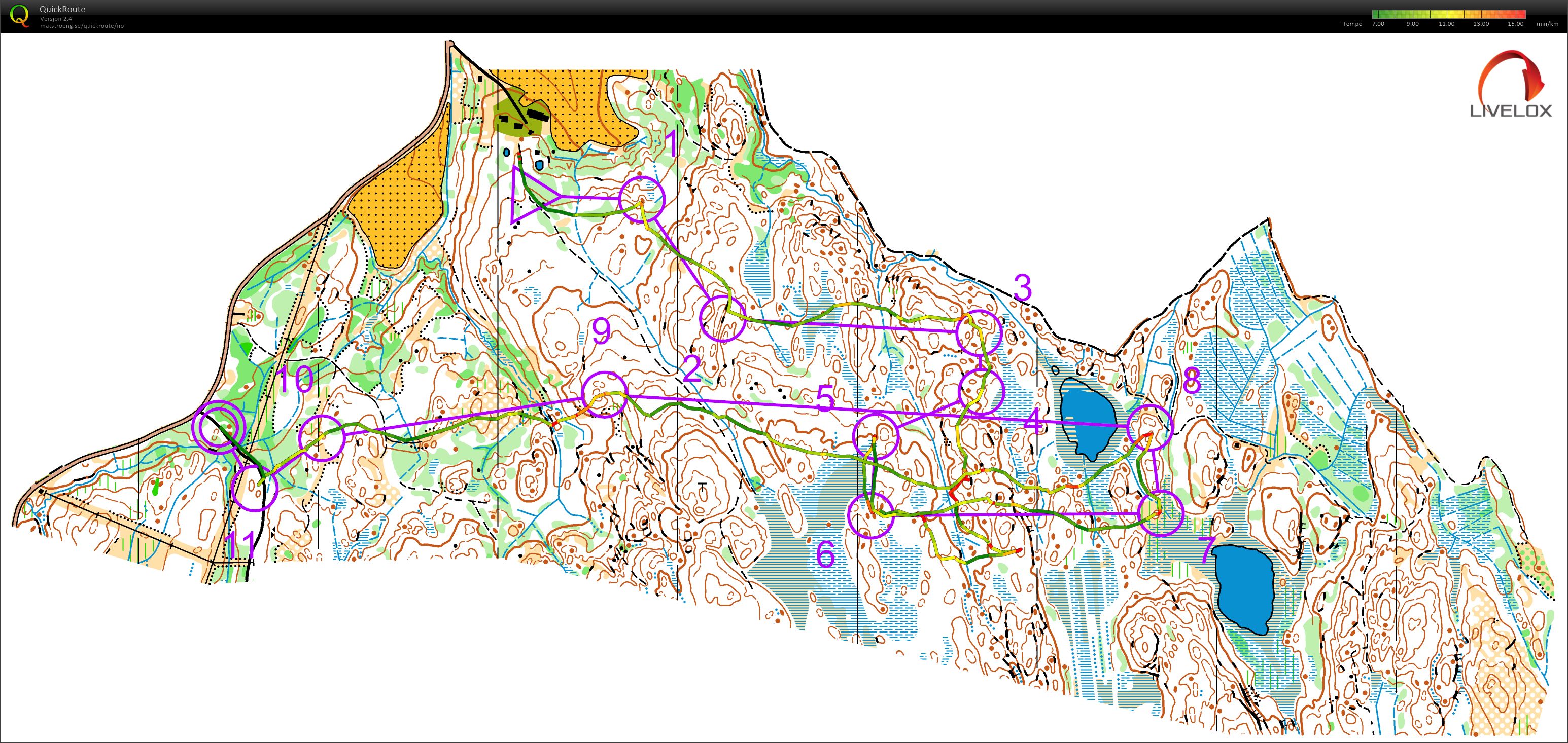 VM Spectatorrace 3 H50 (14.08.2019)