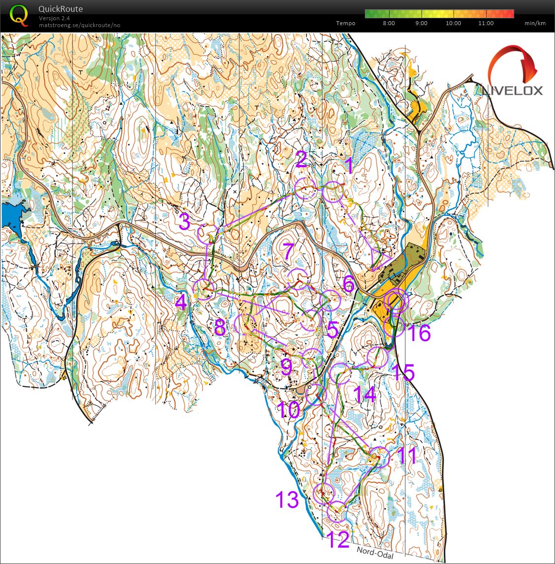 Elgdilten (05.06.2022)