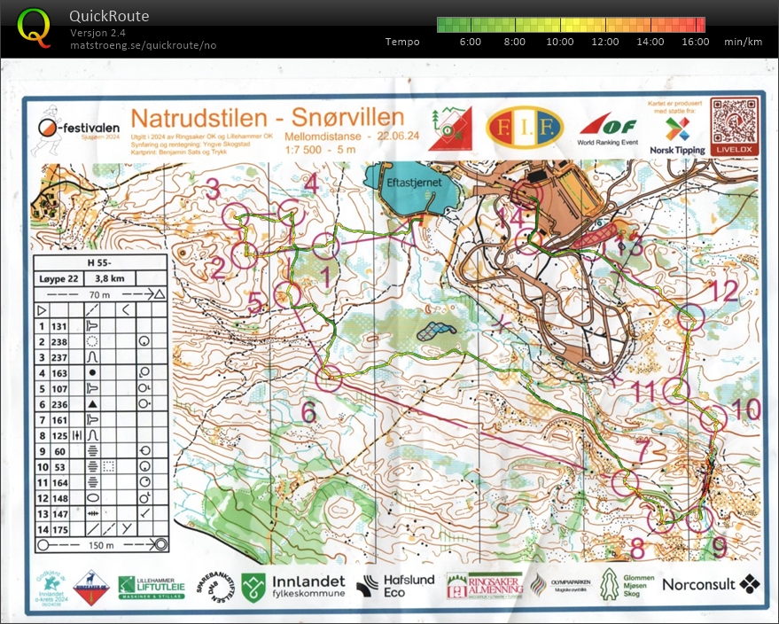 O-Festivalen Mellom H55 (2024-06-22)