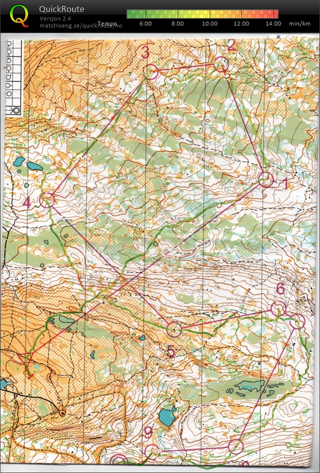 O-Festivalen Lang H55 (2024-06-23)