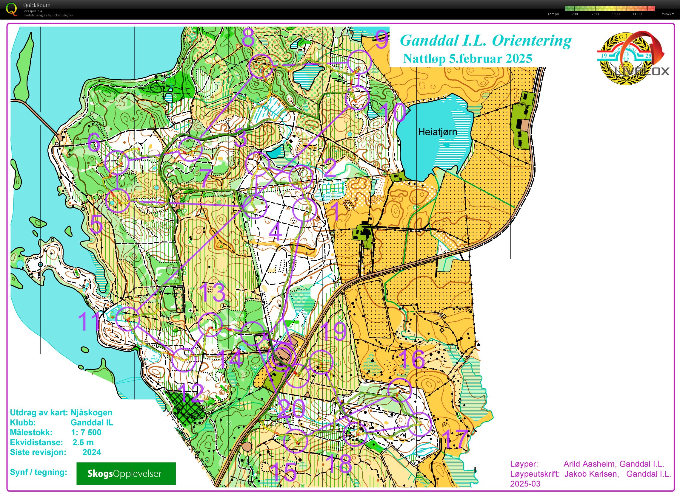 Nattløp (05.02.2025)