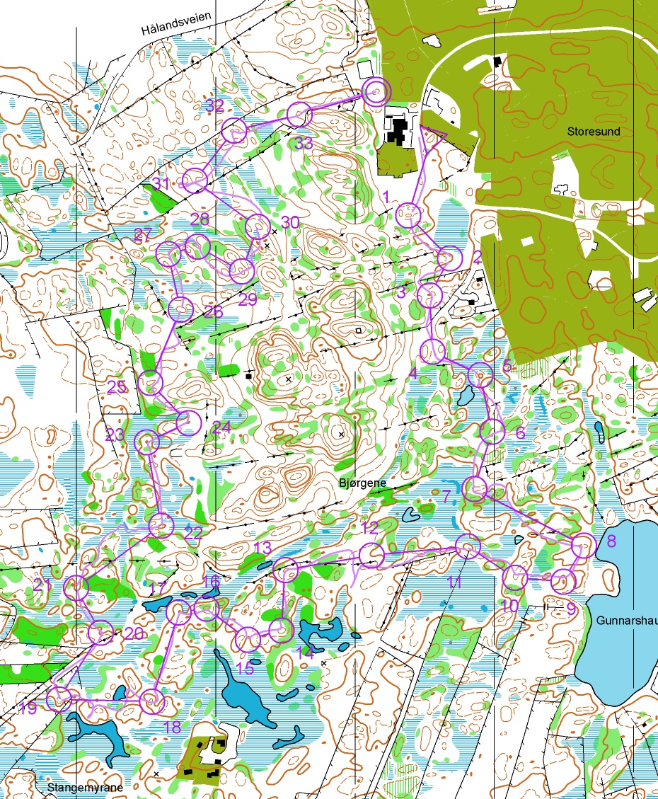 Kurvetrening (02.12.2013)