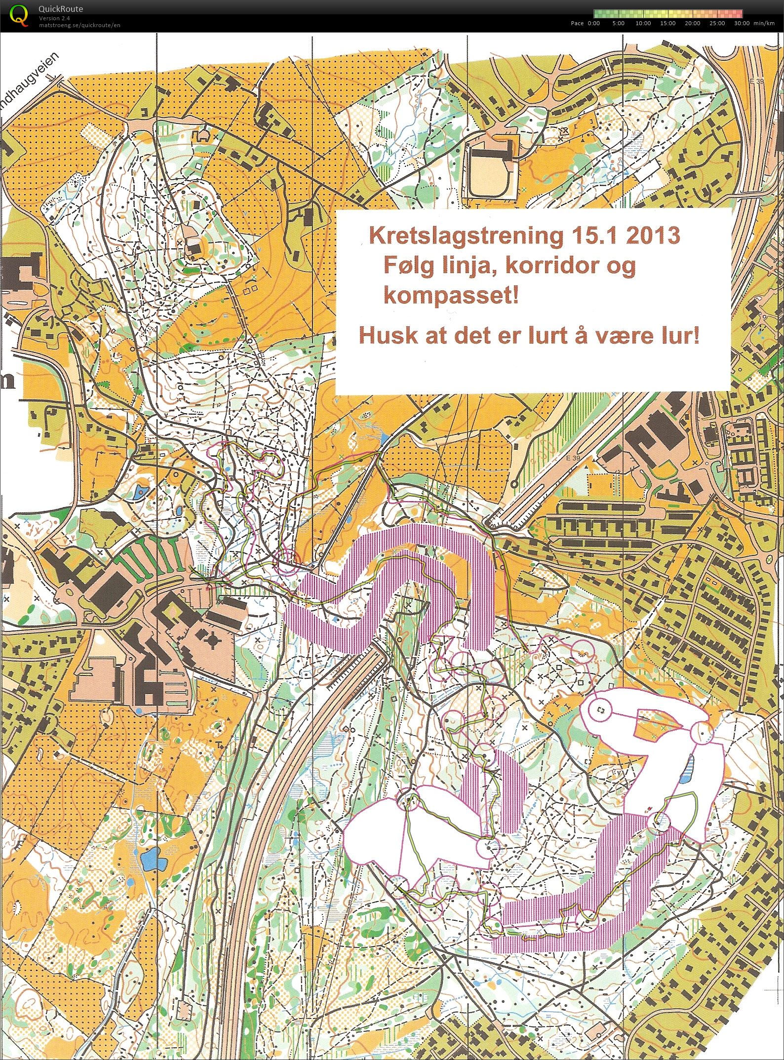 Nattrening Sørmarka (15.01.2013)