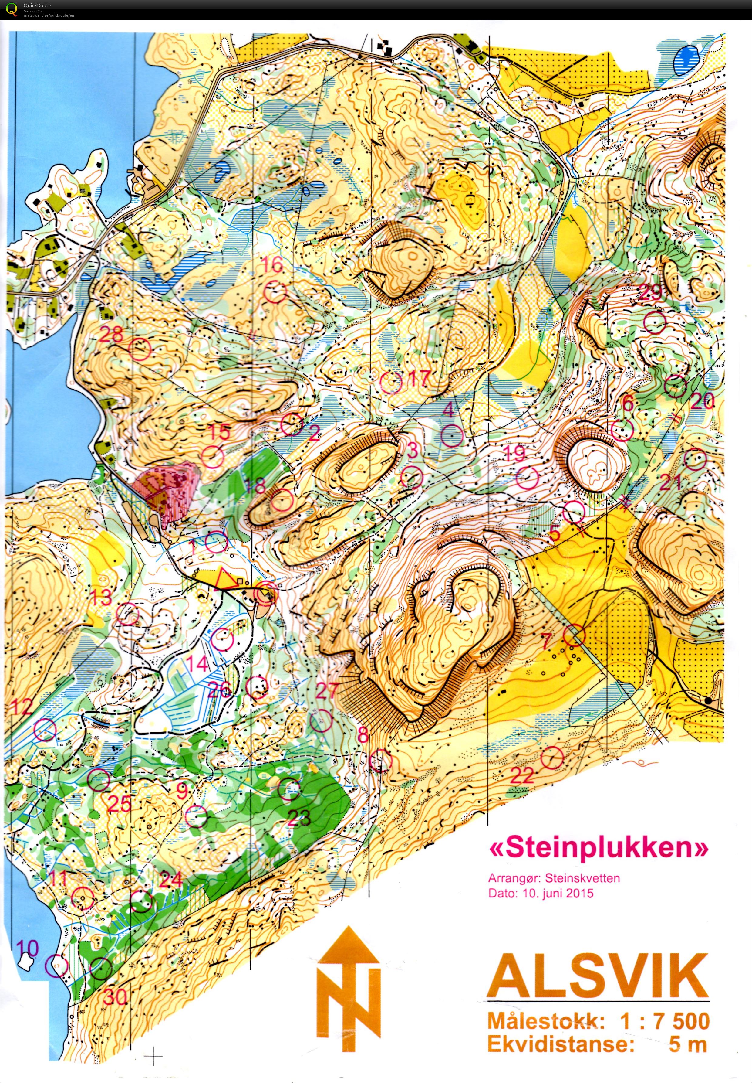 Steinplukken (10.06.2015)