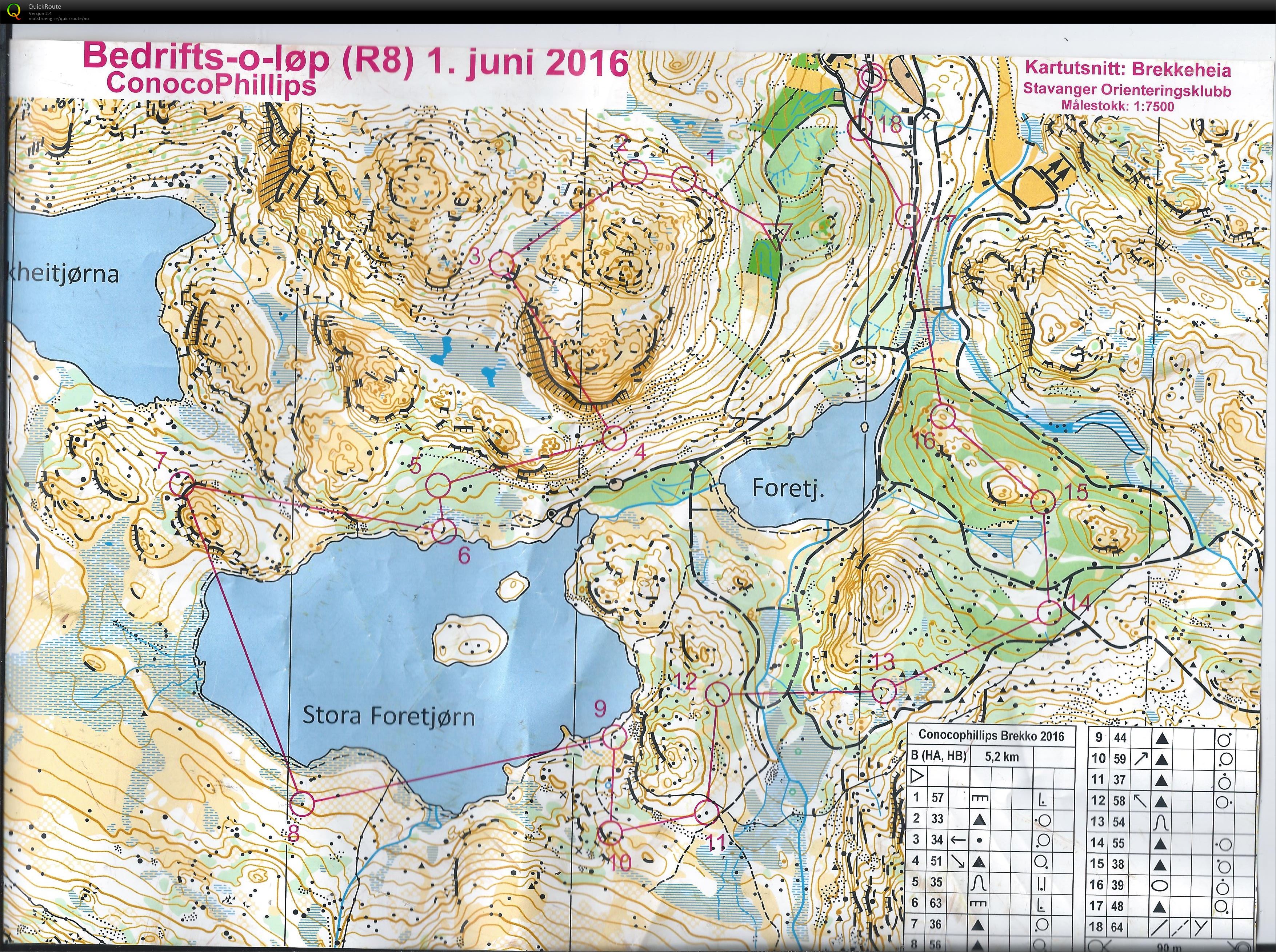 Bedriftsløp nr 8 Sør Rogaland (01.06.2016)