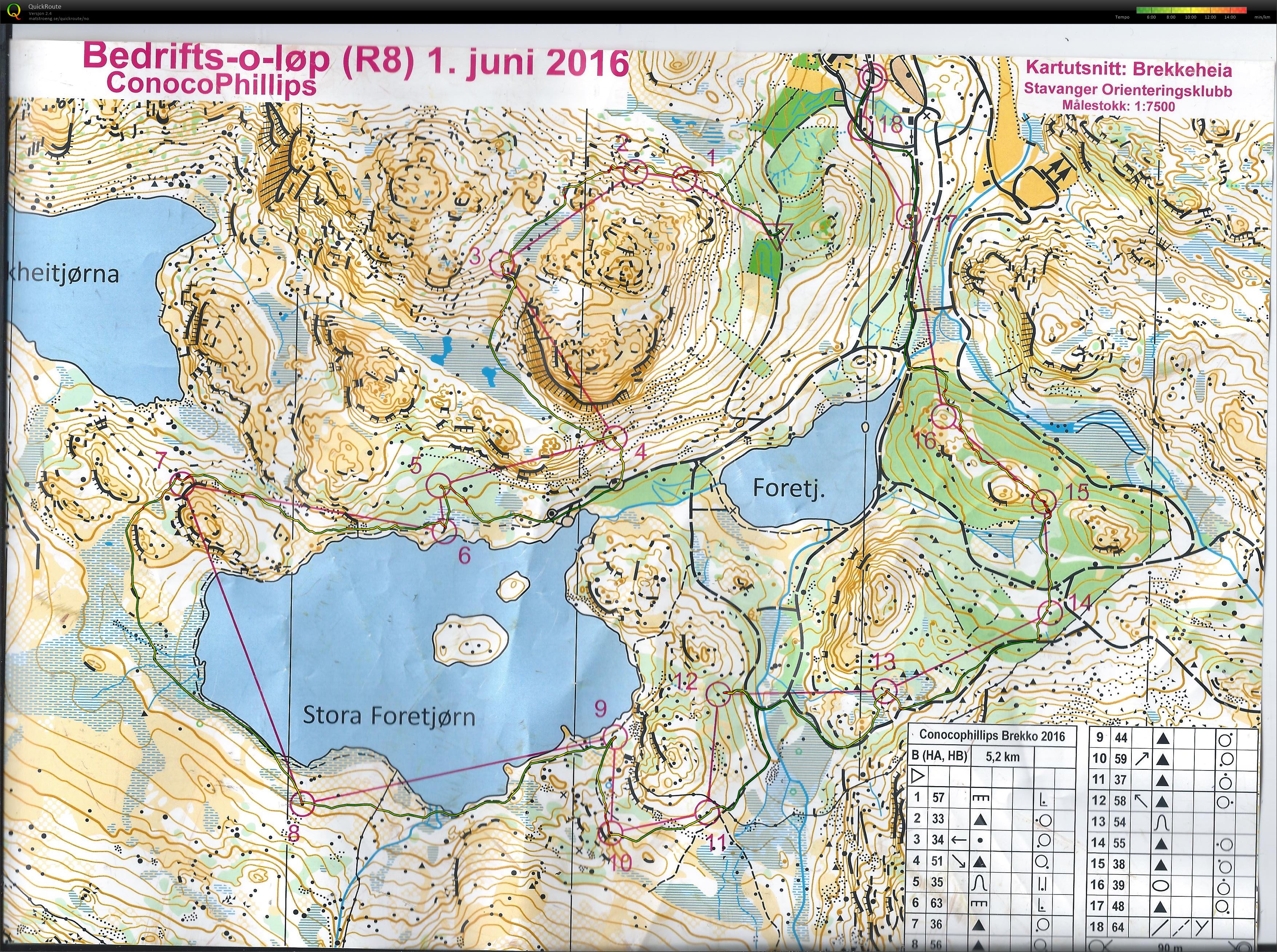 Bedriftsløp nr 8 Sør Rogaland (01.06.2016)