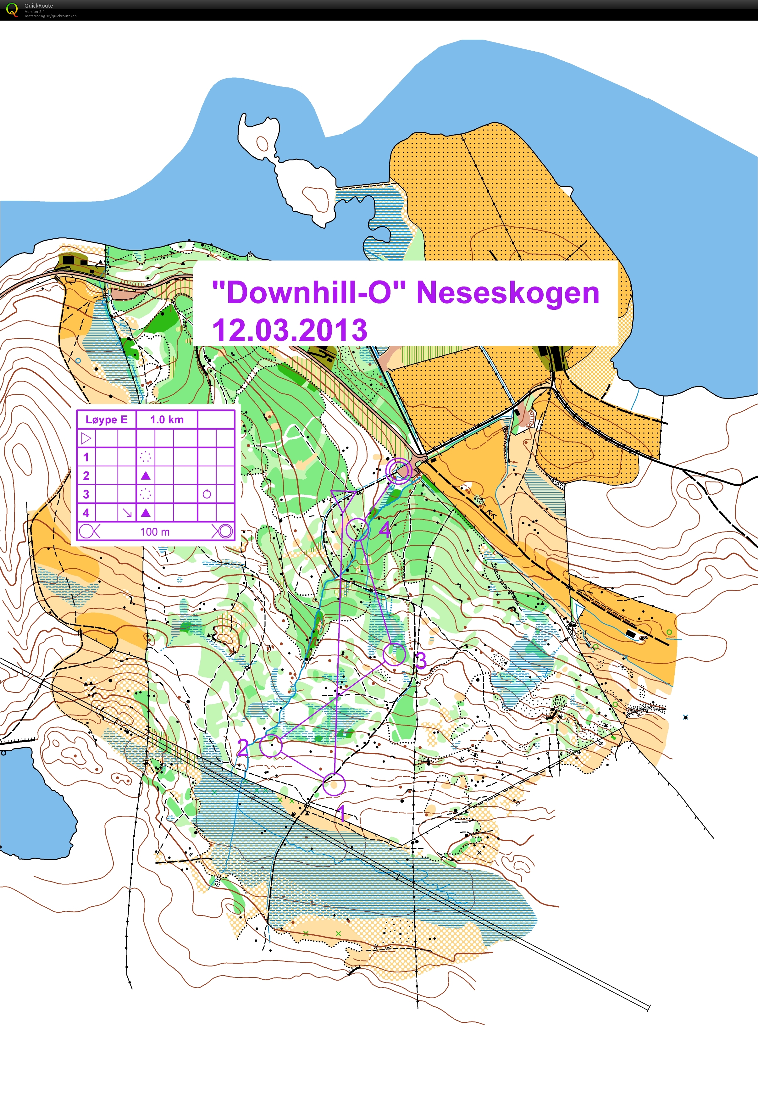 Nattrening Neseskogen Sløyfe E (12.03.2013)