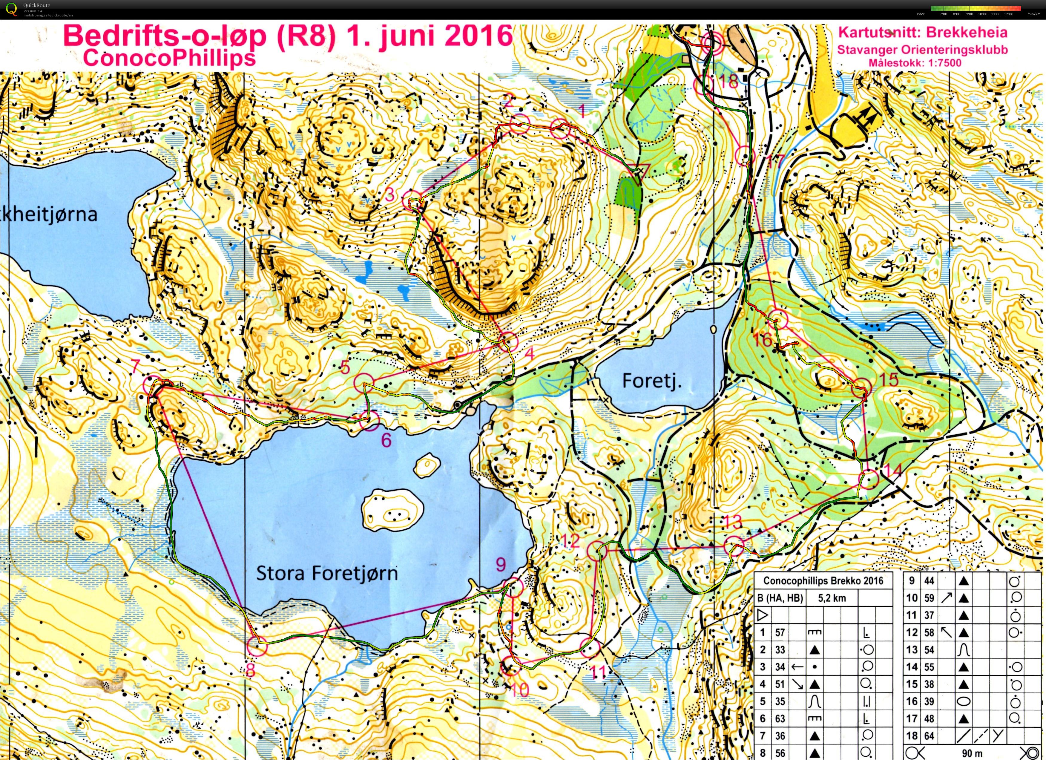 Bedriftsløp R8 (01.06.2016)