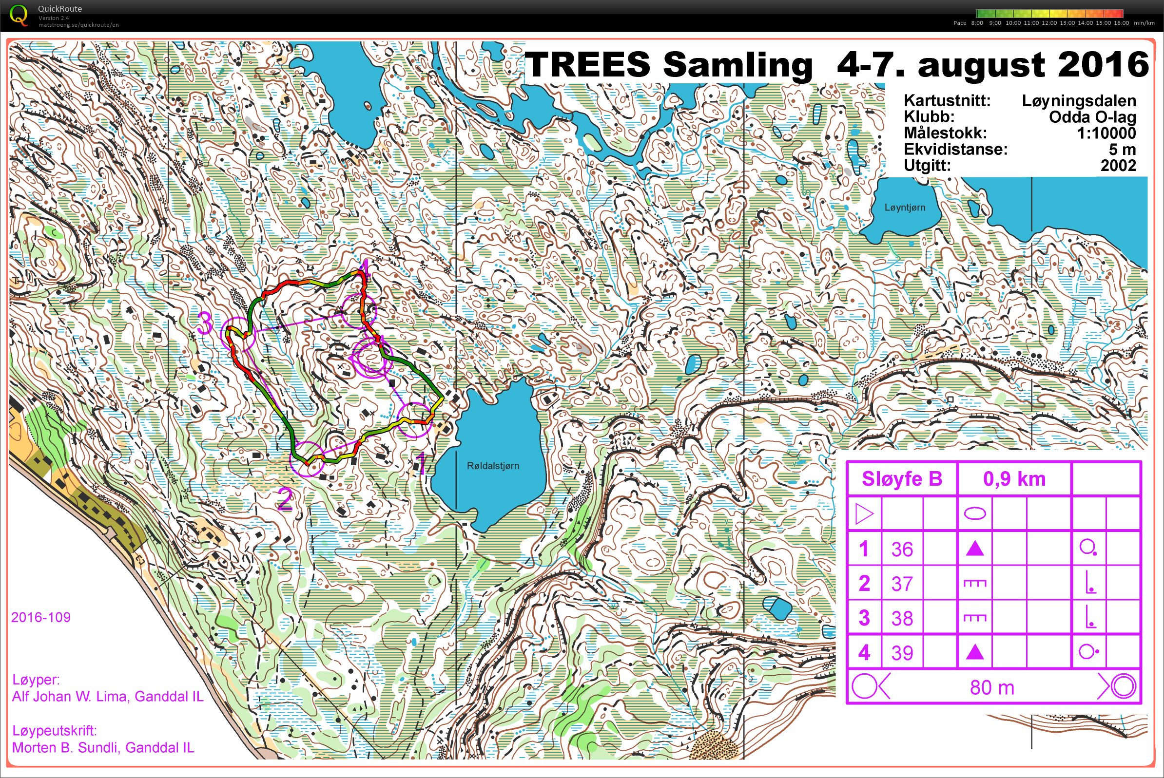 TREES Sommersamling Økt 2 - Sløyfe B (05.08.2016)