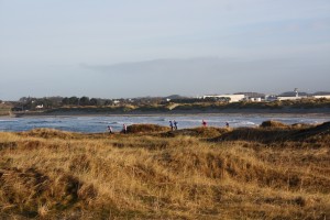 IMG_1390