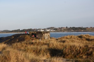 IMG_1392