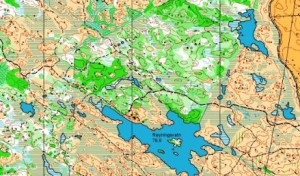 Røyningsbu